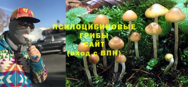 амф Алексин