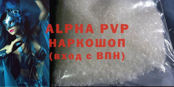 гашик Арсеньев