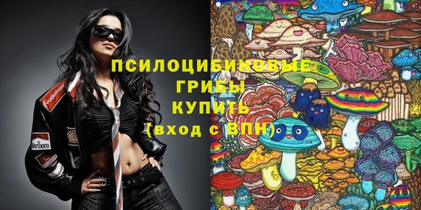 гашик Арсеньев