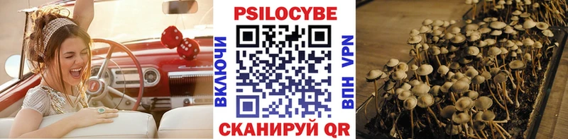 Псилоцибиновые грибы мухоморы Саянск
