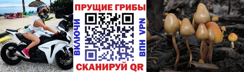 Галлюциногенные грибы GOLDEN TEACHER  mega рабочий сайт  Саянск 